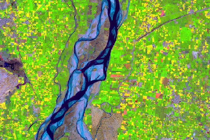 Agriculture